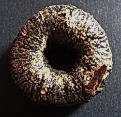 ตะกรุดพิสมรใบลาน หลวงพ่อแก้ว วัดพวงมาลัย