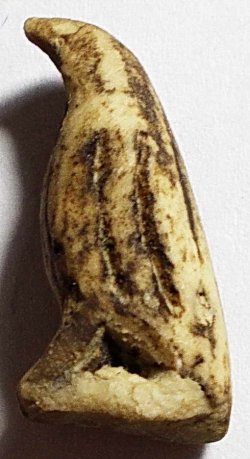 นกสาริกาจับปากโลง ลพ.สนิท วัดลำบัวลอย นครนายก