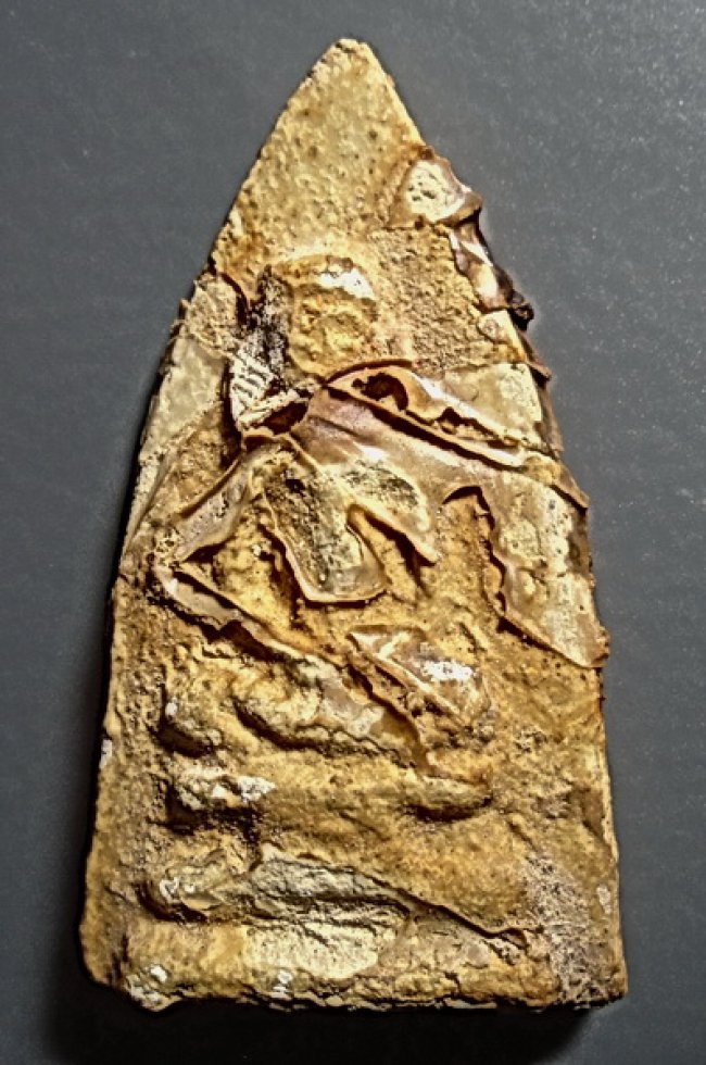 พระกรุวัดวัดสามปลื้ม พิมพ์เศียรโล้น